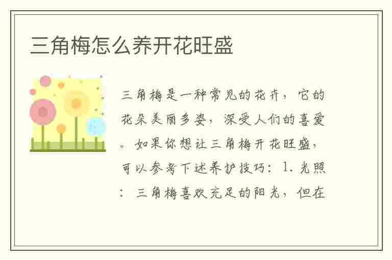 三角梅怎么养开花旺盛(三角梅怎么养开花旺盛图片)